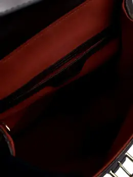 Louis Vuitton Pre-Owned: Коричневый рюкзак 