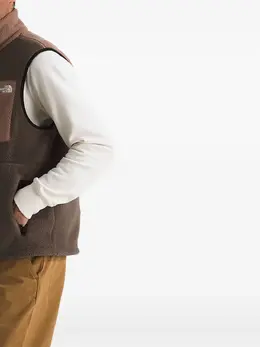 The North Face: Коричневый жилет 