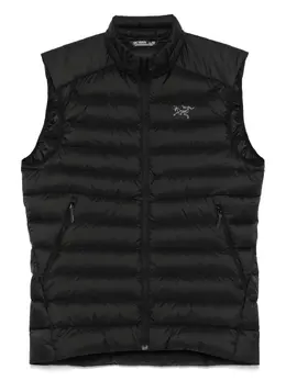 Arc'teryx: Чёрный жилет 