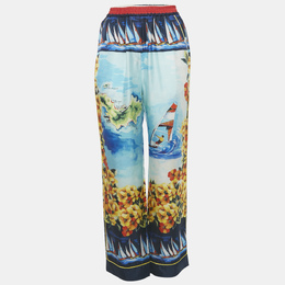 Dolce & Gabbana: Многоцветные брюки 