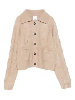 Allude: Трикотажный кардиган 