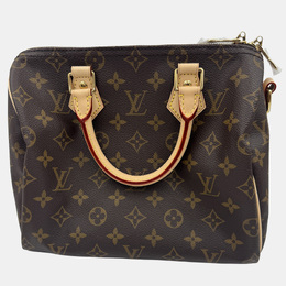 Louis Vuitton: Коричневая сумка  Speedy