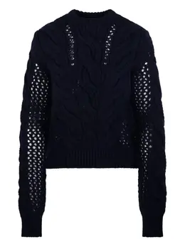 Sportmax: Трикотажный свитер 