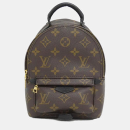 Louis Vuitton: Коричневый рюкзак 