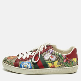 Gucci: Многоцветные кроссовки  Ace