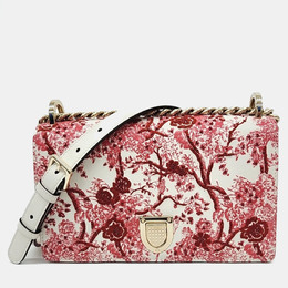 Dior: Красная сумка 