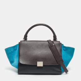 Celine: Многоцветная сумка на руку 