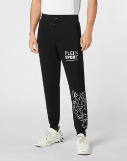 Plein Sport: Спортивные брюки 