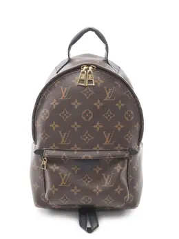 Louis Vuitton Pre-Owned: Коричневый рюкзак 