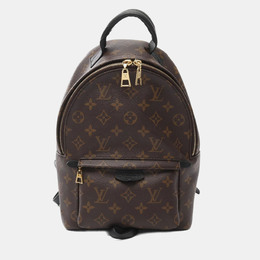 Louis Vuitton: Коричневый рюкзак 