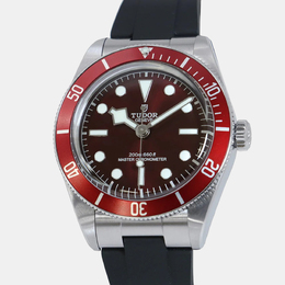 Tudor: Часы 