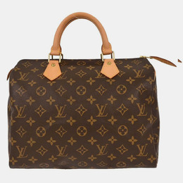 Louis Vuitton: Коричневая сумка  Speedy 30