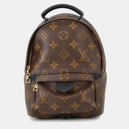 Louis Vuitton: Коричневый рюкзак 