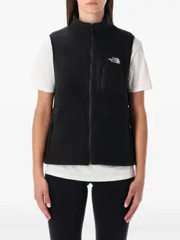 The North Face: Флисовый жилет  Fleece
