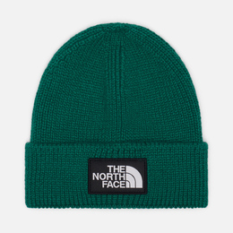 The North Face: Зелёная шапка  Logo Box