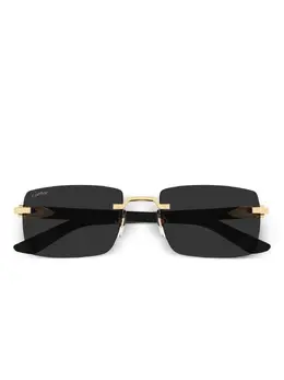 Cartier Eyewear: Очки 