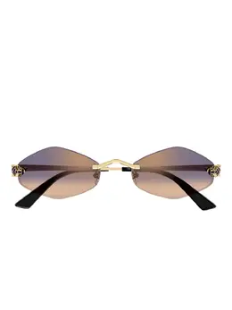 Cartier Eyewear: Очки 