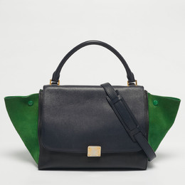 Celine: Многоцветная сумка 