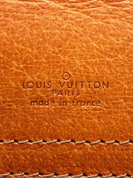 Louis Vuitton Pre-Owned: Коричневая сумка через плечо 