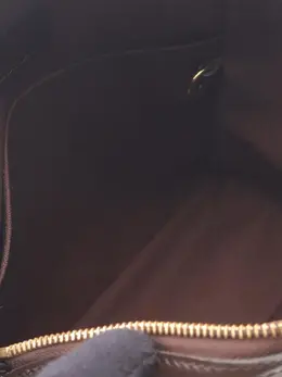Louis Vuitton Pre-Owned: Коричневая сумка через плечо 