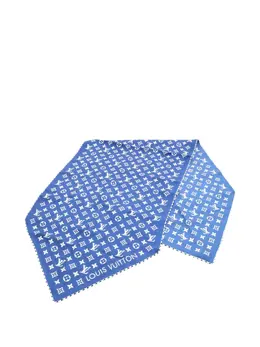 Louis Vuitton Pre-Owned: Голубой шарф 