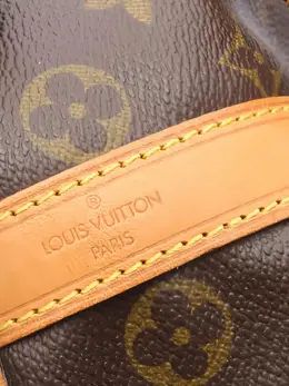 Louis Vuitton Pre-Owned: Коричневая сумка 