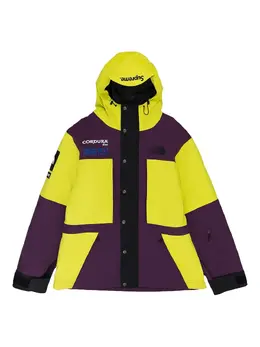 Supreme: Фиолетовая куртка  TNF Expedition
