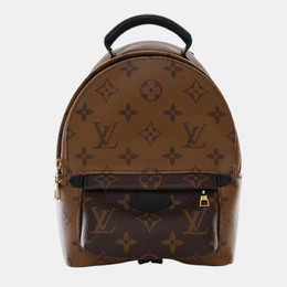 Louis Vuitton: Коричневый рюкзак 