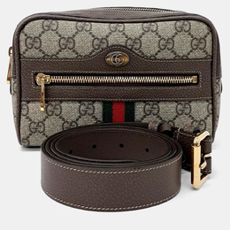 Gucci: Бежевая поясная сумка  Ophidia GG