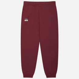 Evisu: Брюки с принтом 