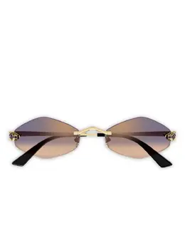 Cartier Eyewear: Очки 