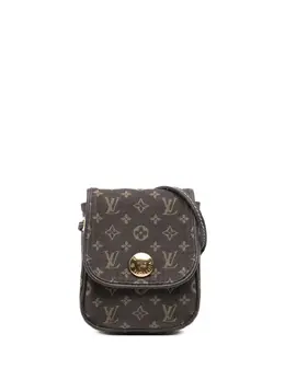 Louis Vuitton Pre-Owned: Коричневая сумка через плечо 