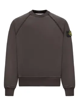 Stone Island: Свитшот с рукавом реглан 