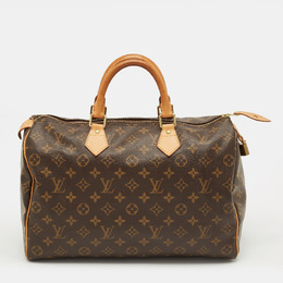 Louis Vuitton: Коричневая сумка  Speedy