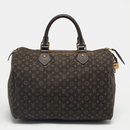 Louis Vuitton: Коричневая сумка  Speedy 30