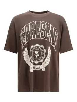 Represent: Коричневая футболка 