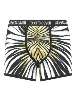 Roberto Cavalli: Трусы 