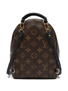 Louis Vuitton Pre-Owned: Коричневый рюкзак 