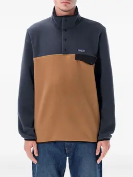 Patagonia: Двухцветный свитшот 