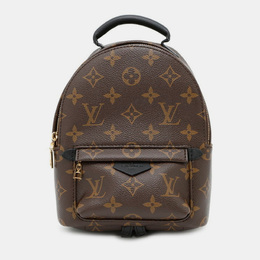 Louis Vuitton: Коричневый рюкзак 