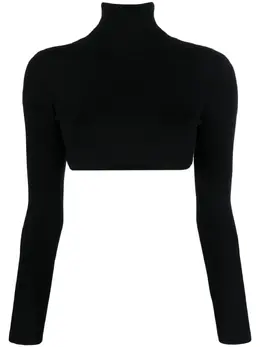 Elisabetta Franchi: Чёрный свитер 