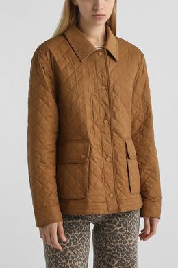 Tommy Hilfiger: Стёганые куртка 