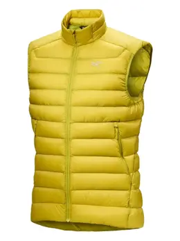 Arc'teryx: Жёлтый жилет 