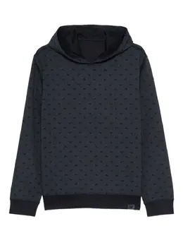Emporio Armani: Голубая толстовка 
