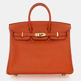Hermes: Оранжевая сумка  Birkin 25