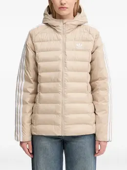 adidas: Куртка  Adicolor с капюшоном