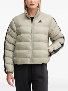 adidas: Бежевая куртка 