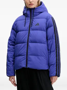 adidas: Голубая куртка 
