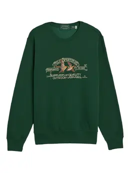 Polo Ralph Lauren: Зелёный свитшот 