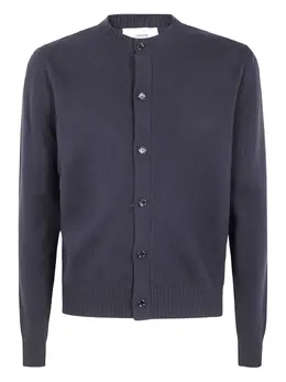 Lardini: Кардиган из шерсти 
